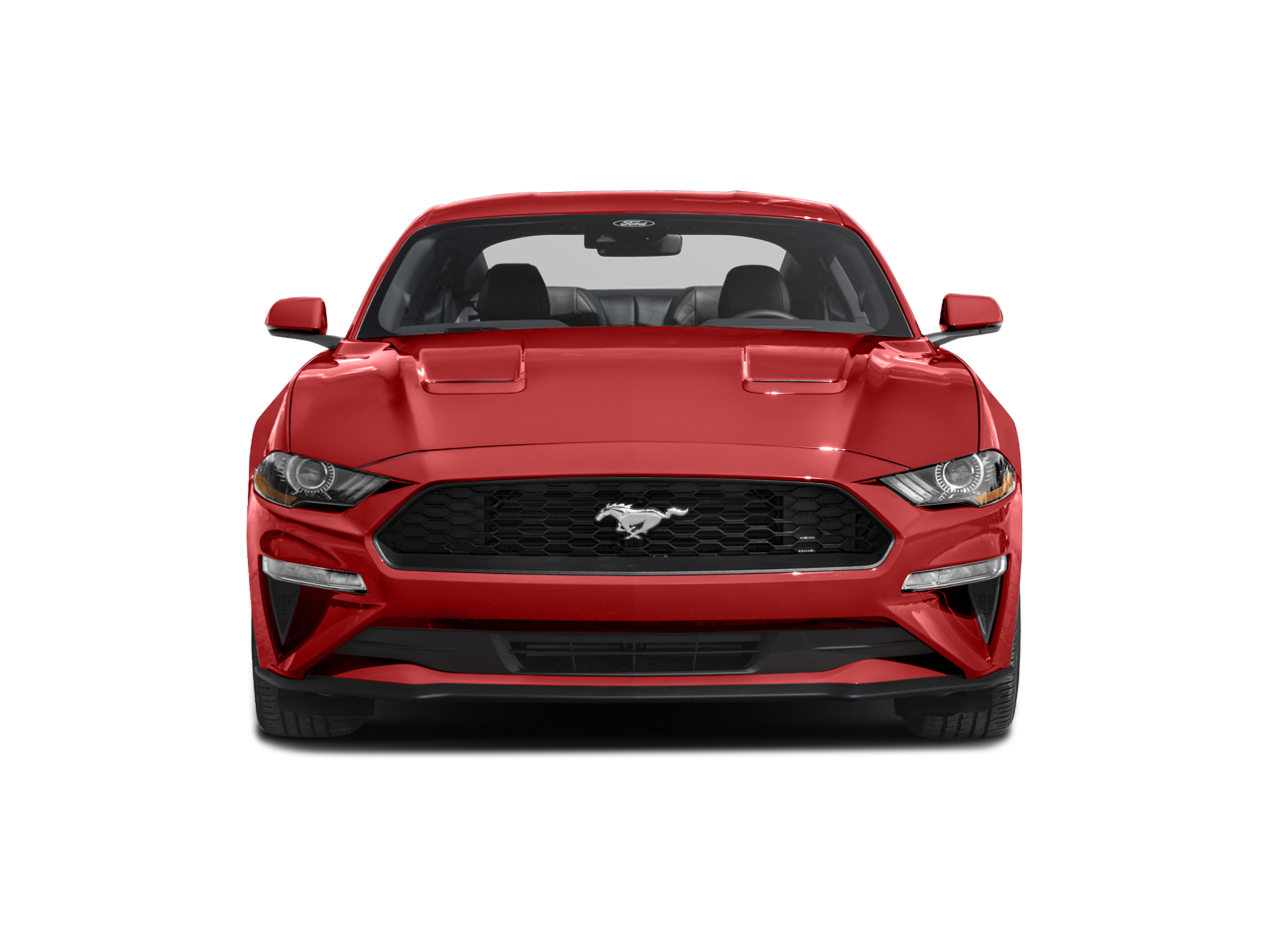 2022 Ford Mustang EcoBoost photo 4