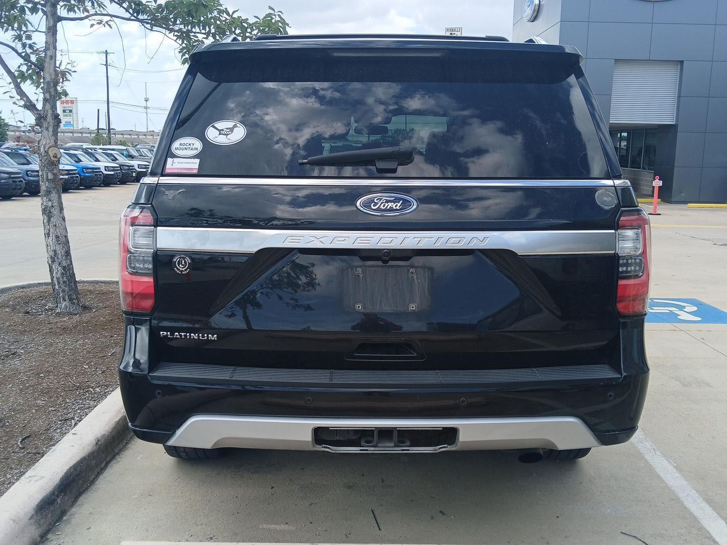 2021 Ford Expedition Platinum