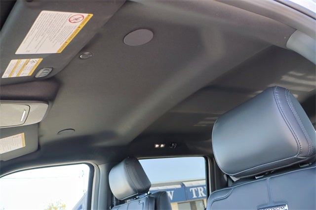 2025 Ford Super Duty F-450 Platinum DRW