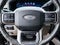 2025 Ford Super Duty F-250 Platinum