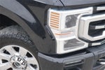 2020 Ford Super Duty F-250 Platinum
