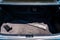 2017 Lexus Es ES 300h
